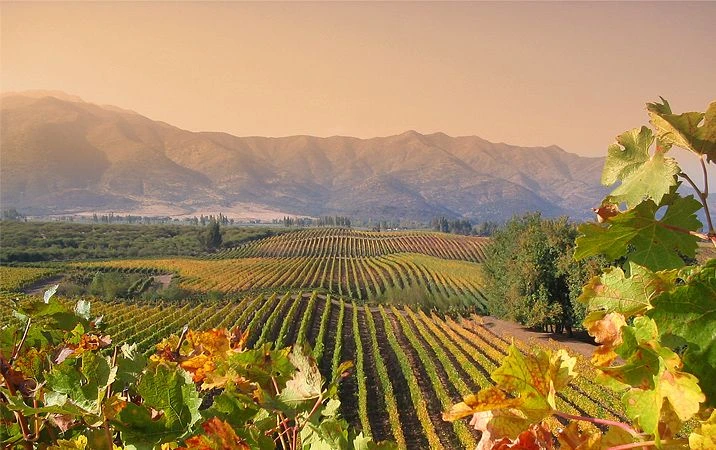 Các vùng làm rượu vang Chile