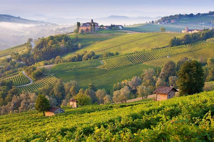 Vùng Piedmont