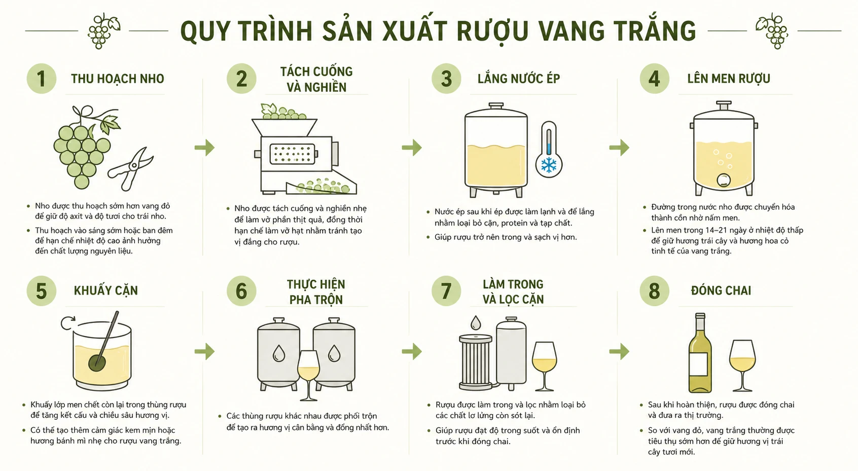 Quy trình sản xuất rượu vang trắng
