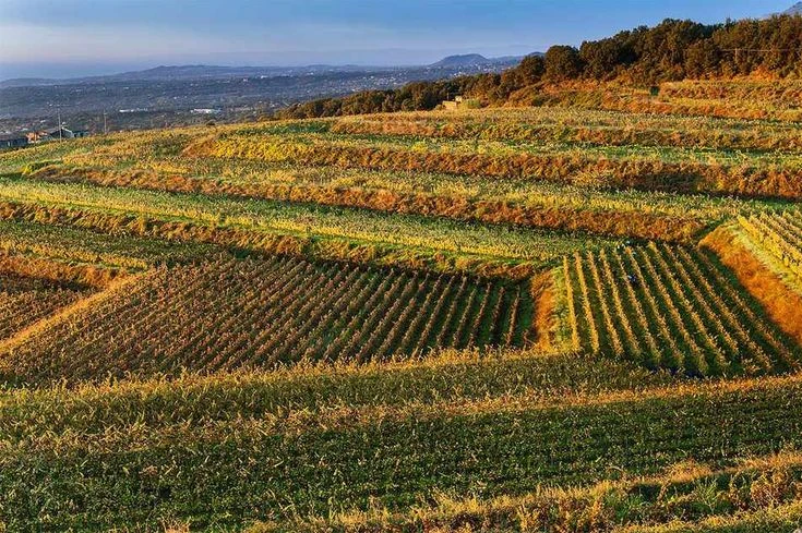 Vùng Sicily